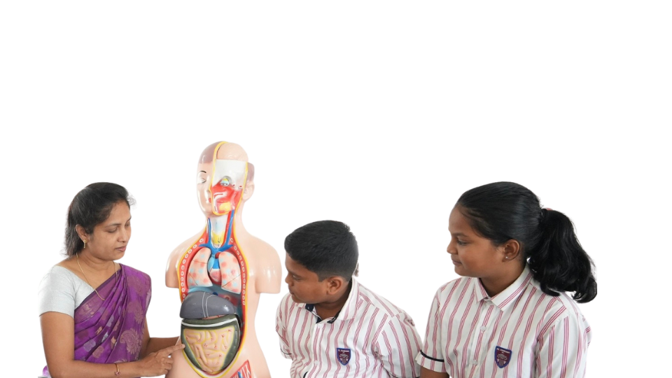 Interdisciplinary Approach